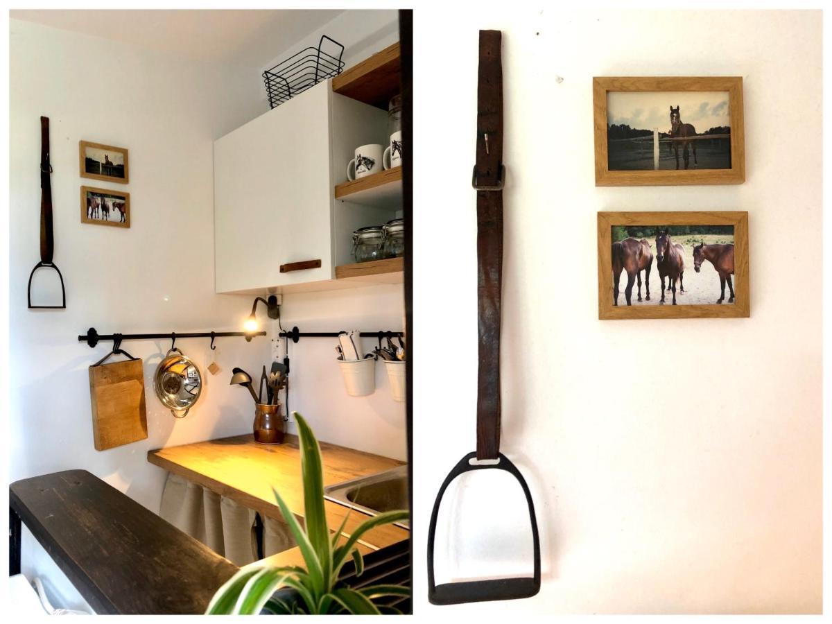 Apartamenty Lajkonik Dąbrówno Exterior foto