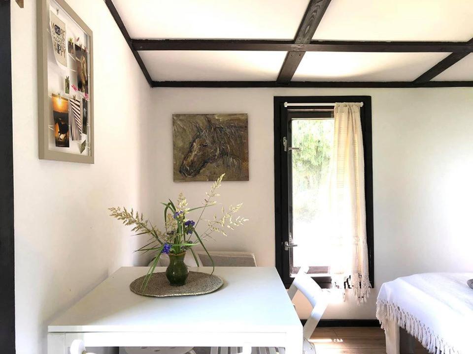 Apartamenty Lajkonik Dąbrówno Exterior foto